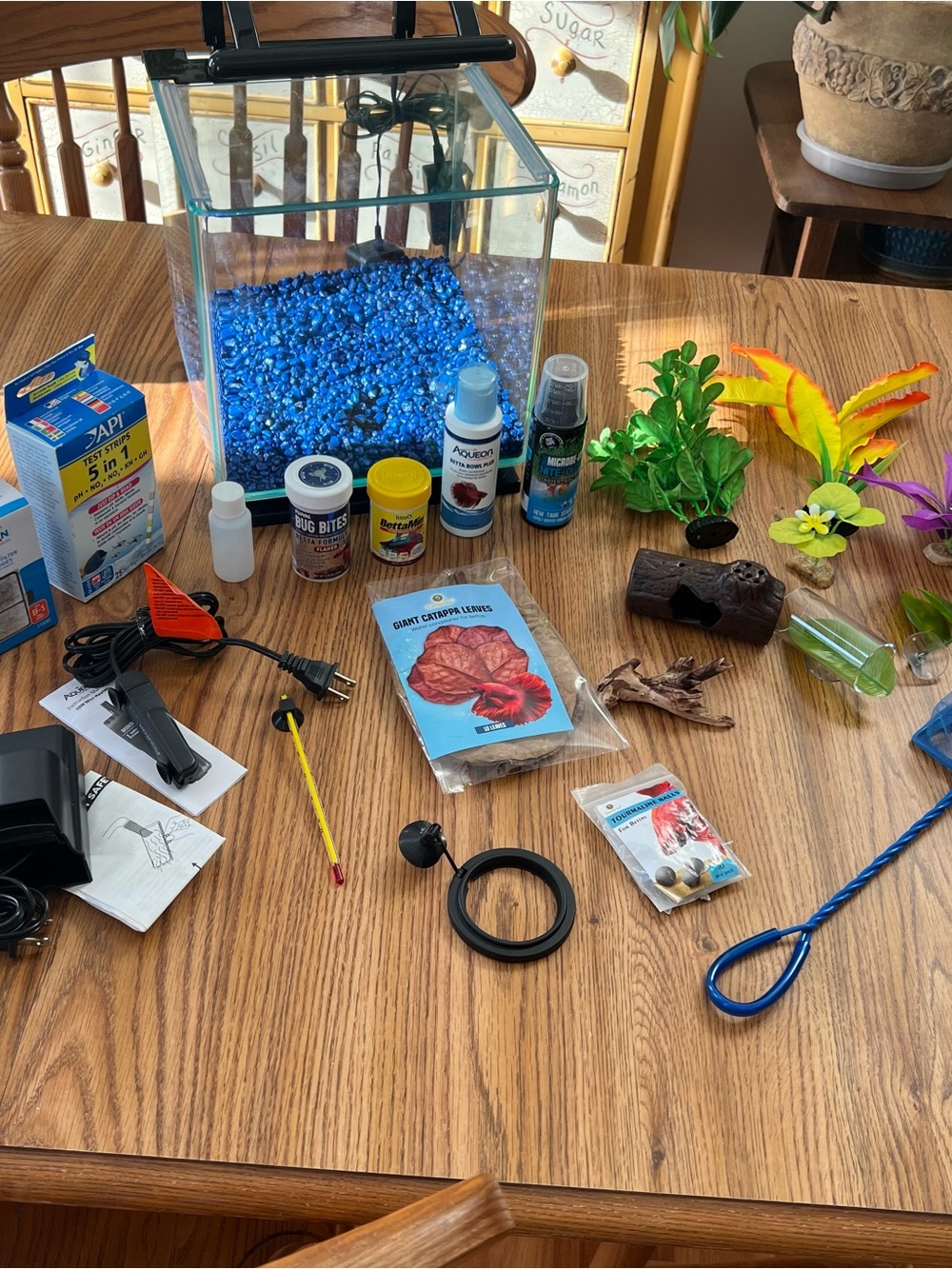 3 gallon aquarium kit